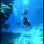 Apakah Oksigen Kita Masih Cukup ?